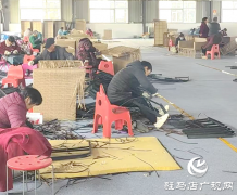 平舆县老王岗乡：做强共同富裕加工园 激活乡村振兴&ldquo;新引擎&rdquo;