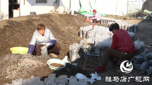 【第一书记话振兴】黄云龙:扎根基层守初心 振兴路上践使命