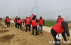 驿城区开展青年志愿者植树活动