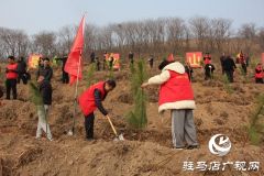 确山县：春潮涌动植新绿