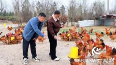 【第一书记话振兴】郑俊：让土特产&ldquo;触电&rdquo; 让村集体&ldquo;增厚&rdquo;