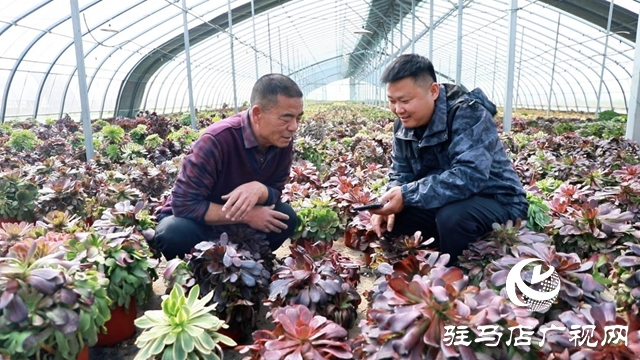 【第一书记话振兴】郑俊:让土特产“触电” 让村集体“增厚”