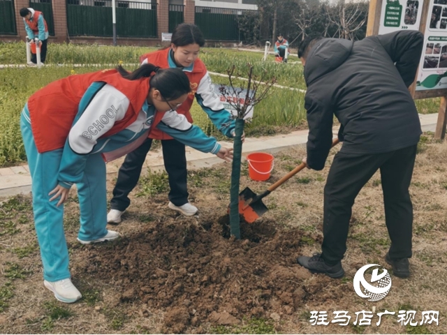 驻马店市第四中学开展植树节志愿服务活动