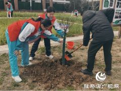 驻马店市第四中学开展植树节志愿服务活动