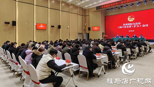 共青团驻马店市三届十次全委(扩大)会议召开