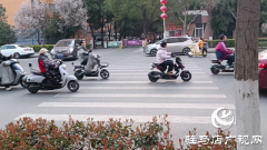 骏马路斑马线设计存隐患 市民呼吁优化改造