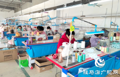 上蔡县杨屯乡杨仕位村：党建引领筑巢引凤 小玩具织就致富路