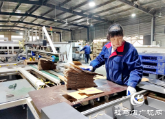 驻马店康达包装制品：一季度产销两旺势头足