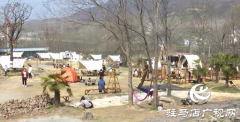 驿城区：春日“乡野”成热土 文旅融合绘新景