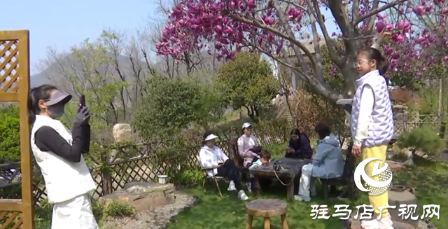 驿城区：春日“乡野”成热土 文旅融合绘新景