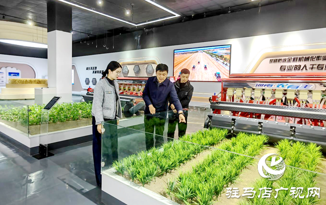 河南农有王：精心筹备亮“家底” 智造精品展风采