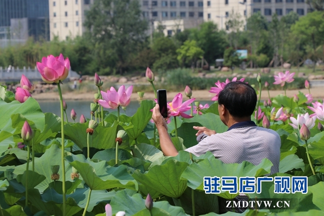 微信图片_20190626105335.jpg