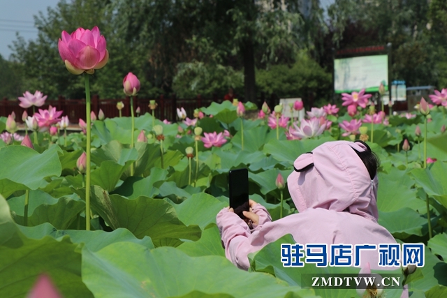 微信图片_20190626110107.jpg