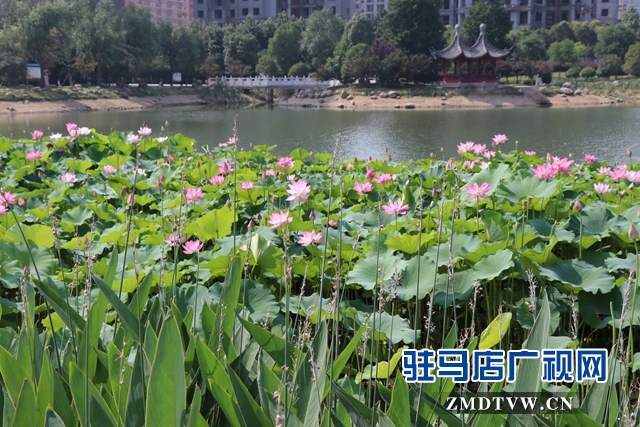 微信图片_20190626105318.jpg