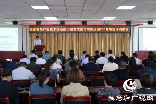 国家葡萄产业技术体系助力脱贫攻坚与杰美庄园SOD葡萄现场观摩会举行