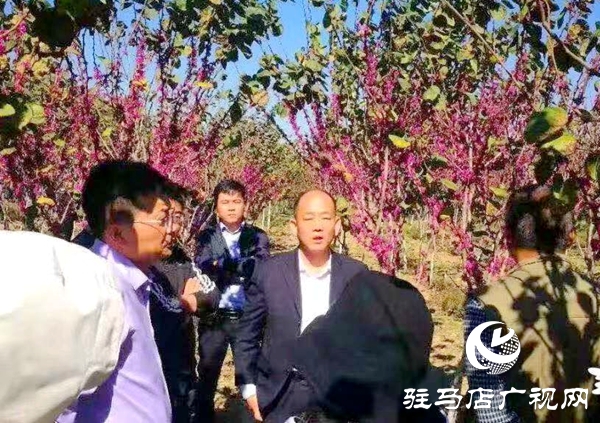 微信图片_20190924093753.jpg