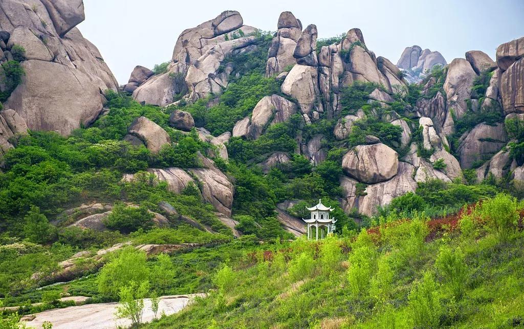 1572999213545200.jpg 微信图片_20191106080742.jpg