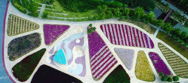 1572999350675933.gif 微信图片_20191106080811.gif