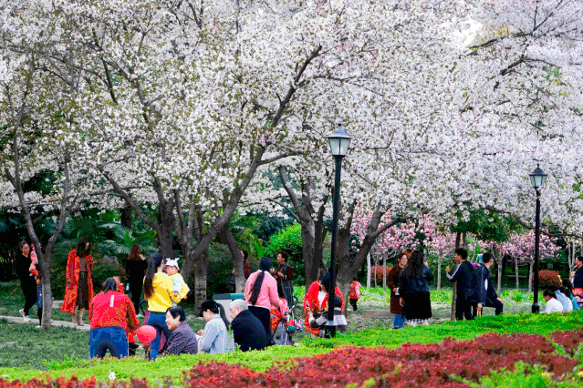 1572999389534570.gif 微信图片_20191106080818.gif