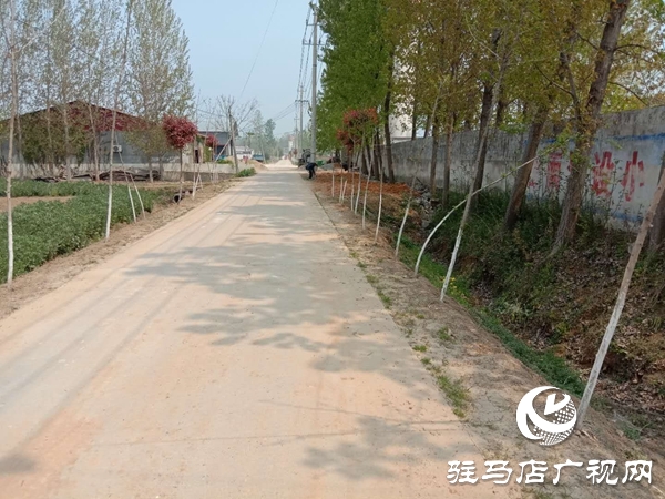 村支书苏连华：一片公仆情 温暖百姓心