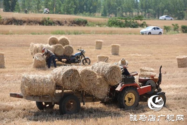 驻马店驿城区：推进秸秆回收变废为宝
