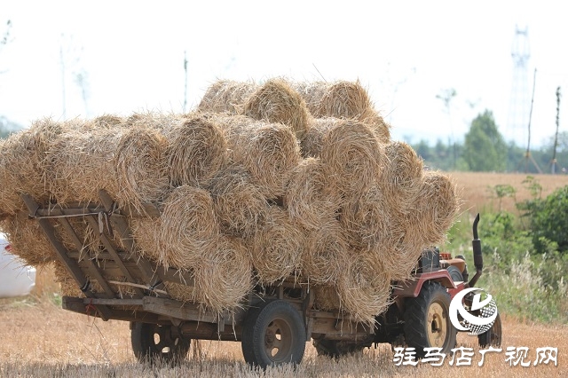 驻马店驿城区：推进秸秆回收变废为宝