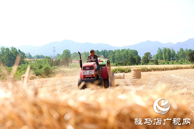 驻马店驿城区：推进秸秆回收变废为宝