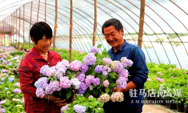 微信图片_20200526094838.jpg