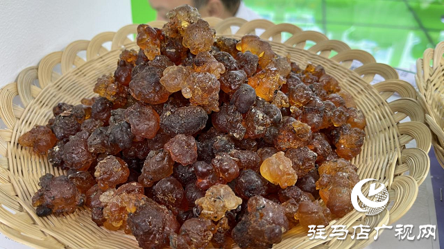 记者探会｜部长看的花菇是她种植的