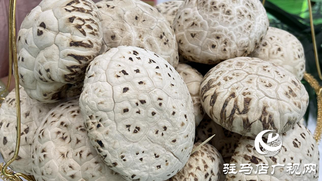 记者探会｜部长看的花菇是她种植的