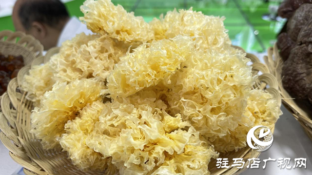 记者探会｜部长看的花菇是她种植的