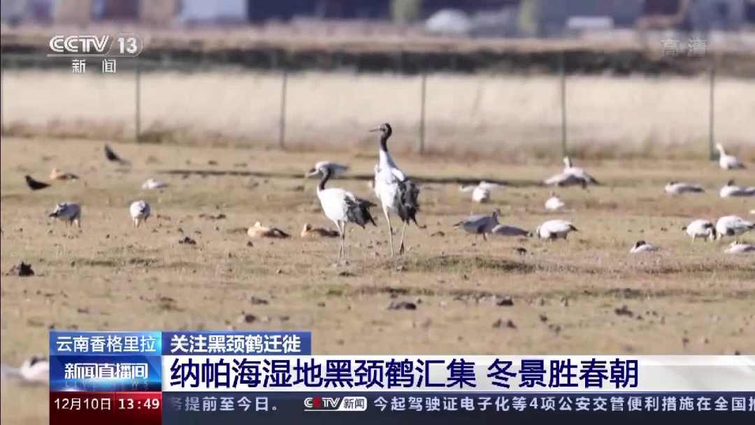 微信图片_20211211093347.jpg