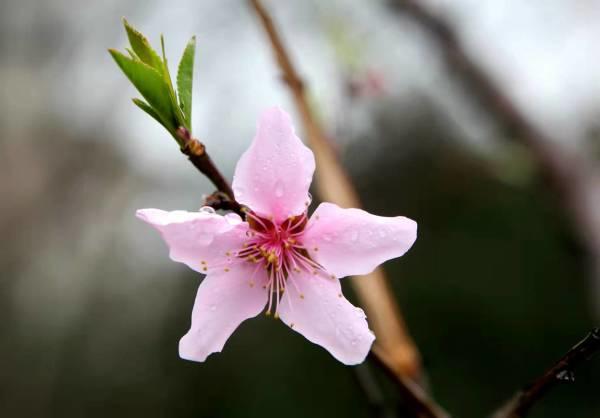 1645342064921309.jpg 1645234373733528.jpg