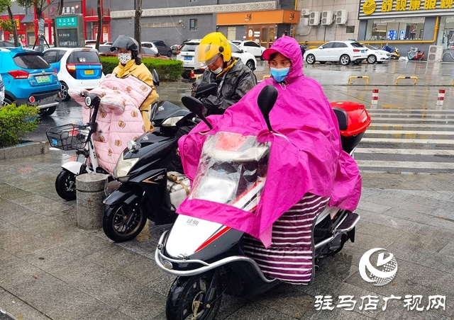 驻马店市风雨无心阵阵摧 落花缱绻款款来