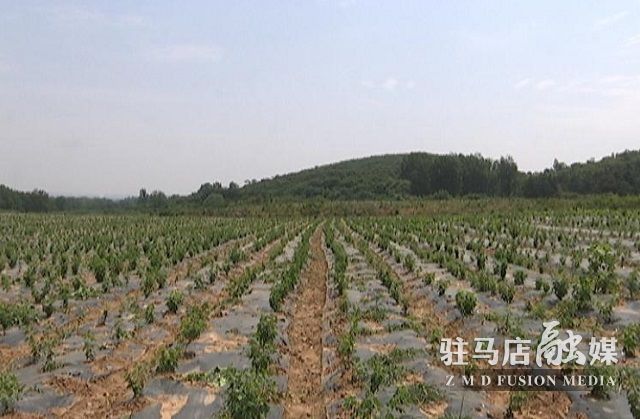 微信图片_20220614161049.jpg