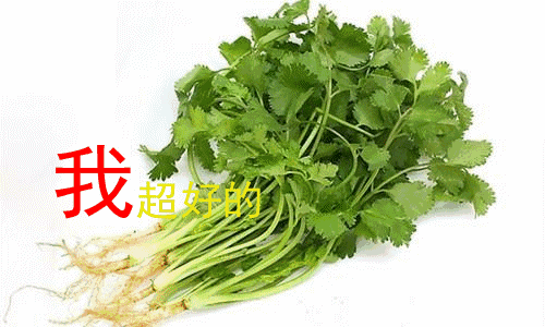 微信图片_20230224152328.gif