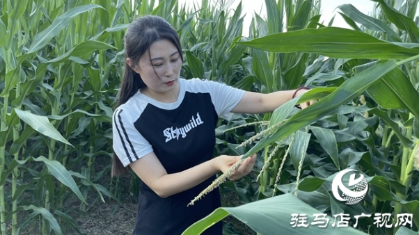 微信截图_20240731085525.png