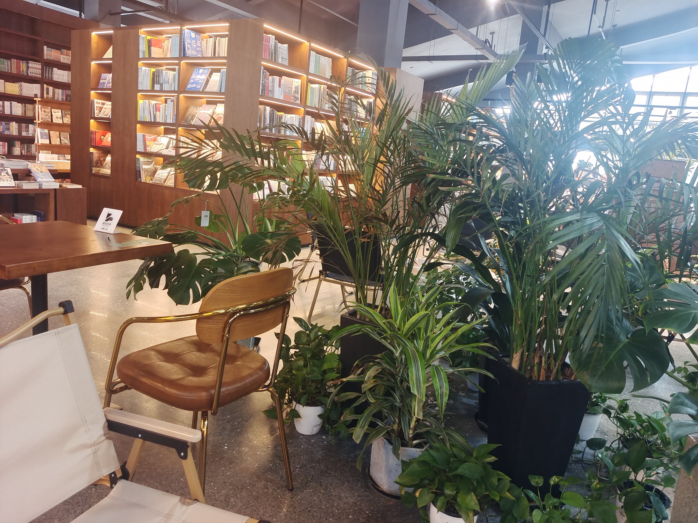 寻求“破局之道”，实体书店在不断尝试