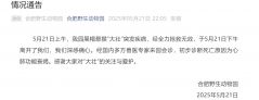 合肥野生动物园：网红方脸猴“大壮”心肺衰竭去世