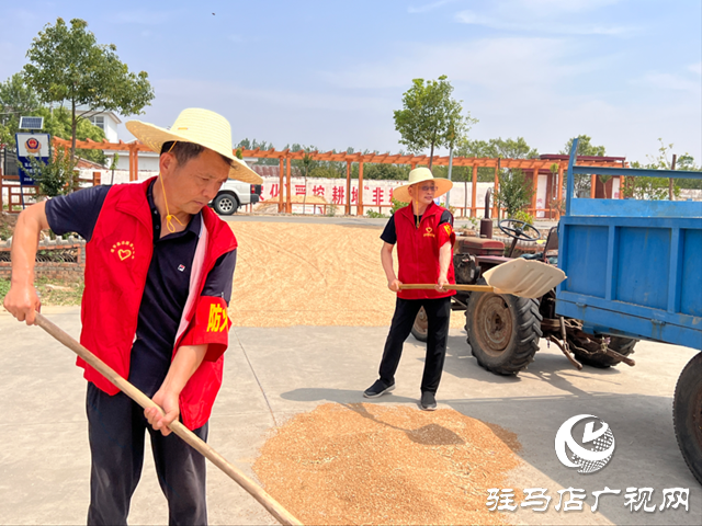 上蔡县：精准护航“三夏”生产 气象服务直通田间保丰收