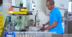 夏粮收购进行时 今年新麦有点香 价格稳中有升有保障