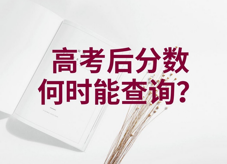 6月25日零时起可查询高考成绩！附查询方式→