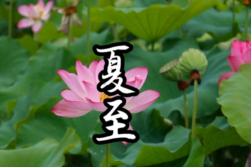 古人怎样过夏至