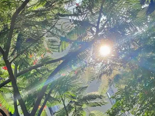 高温少雨天气持续 驻马店市本周闷热感明显