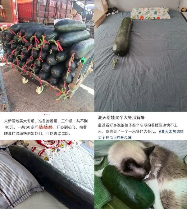 “抱冬瓜睡觉”突然走红，医生紧急提醒：这些人别用