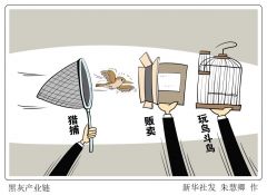 莫让“捕网”变“法网” 当心“鸟笼”变“囚笼”