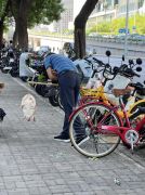 多地街头贩卖“野生鳖” 专家急呼：不能吃！放生危害更大！