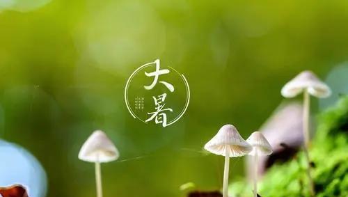  医生提醒：大暑节气养生 这些要点需牢记