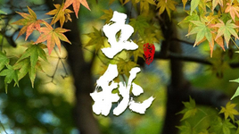 今日立秋，一组海报感受悄然萌动的秋意