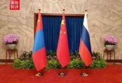 习近平主持中俄蒙元首第七次会晤